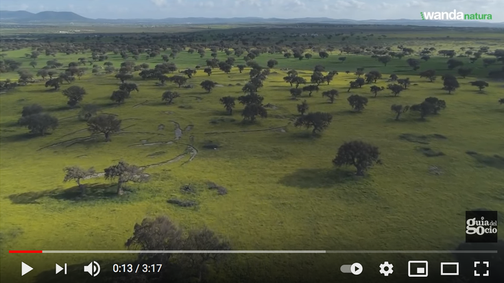 'Dehesa' dokumentala emango dute bihar, G-Naturaldiaren barruan