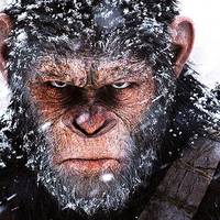 'La guerra del planeta de los simios' filma Modelon, bihartik
