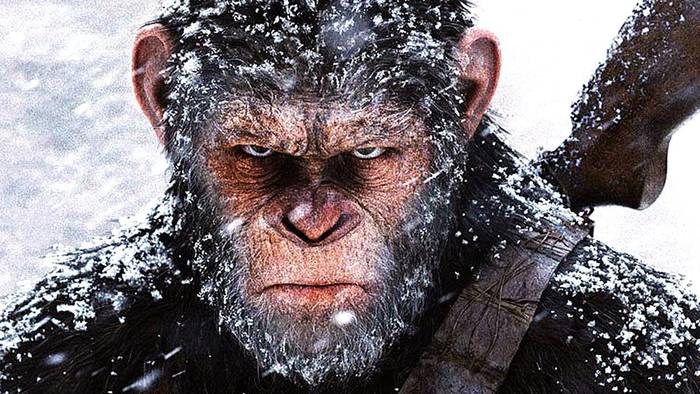 'La guerra del planeta de los simios' filma Modelon, bihartik