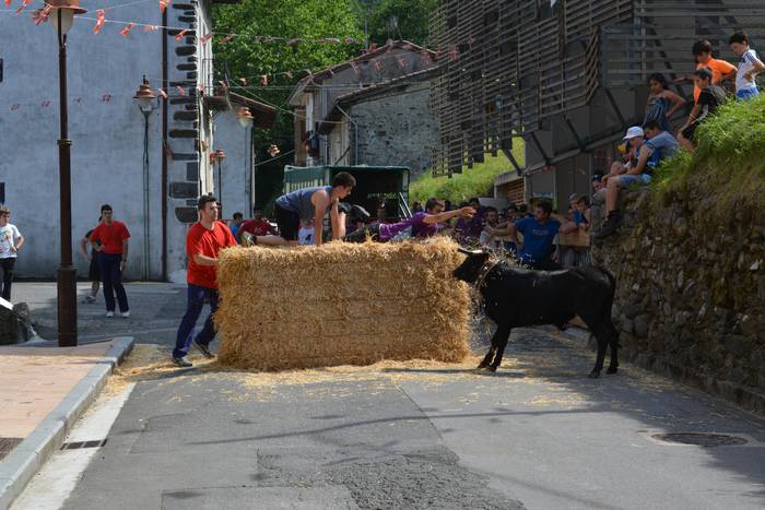 Zezenaren bueltan hasi dituzte Nuarbeko festak