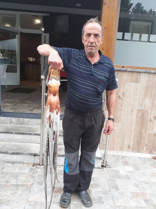 Bost kiloko olagarroa