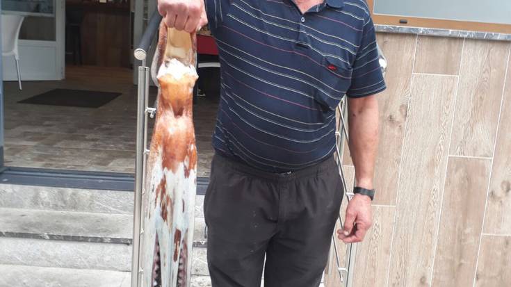 Bost kiloko olagarroa