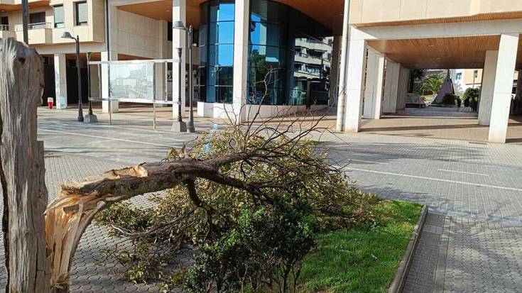 Haizeak kalteak eragin ditu herriko zenbait lekutan