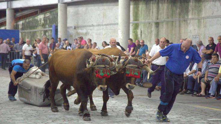 Izetako idi parea nagusi Elgoibarren