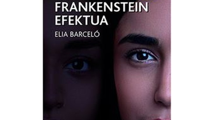 Gazte literatura saioa: 'Frankenstein efektua' liburuaz solasaldia, Nerea Loiolarekin