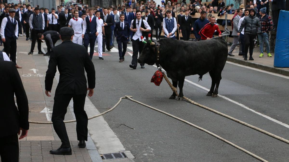Udala, Zezen Beltz eta ganaduzaleak "oso pozik" karnabaletan sokamuturra egitea posible izango delako