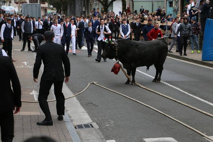 Udala, Zezen Beltz eta ganaduzaleak "oso pozik" karnabaletan sokamuturra egitea posible izango delako