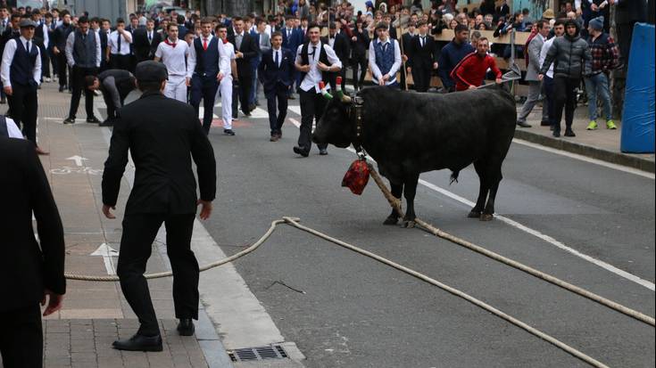 Udala, Zezen Beltz eta ganaduzaleak "oso pozik" karnabaletan sokamuturra egitea posible izango delako