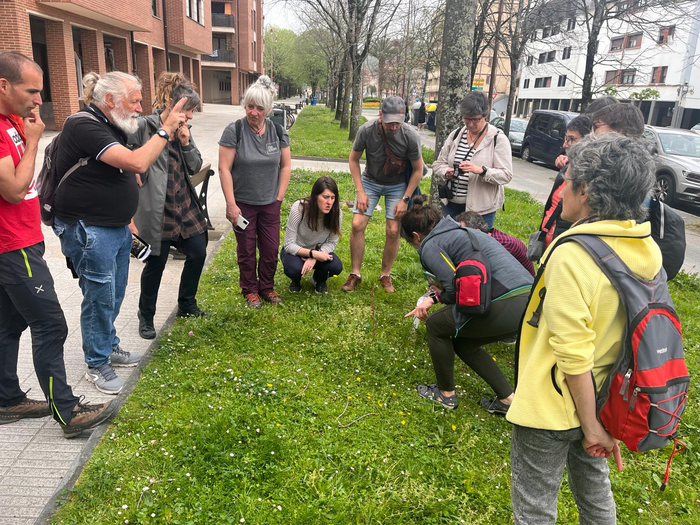 Herriko orkideak ezagutzeko irteera antolatu du Arkamurkak etzirako