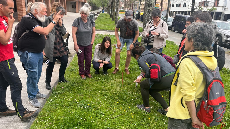 Herriko orkideak ezagutzeko irteera antolatu du Arkamurkak etzirako