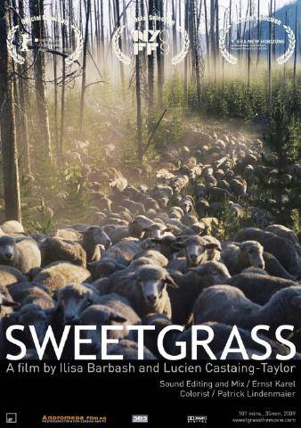 Zine zikloa: 'Sweetgrass' filma