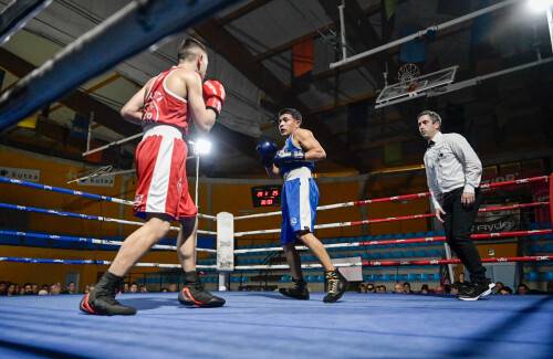 Boxeo jaia hartuko du Oriok igandean
