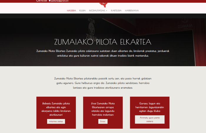Zumaiako Pilota Elkarteak prest du webgune berria