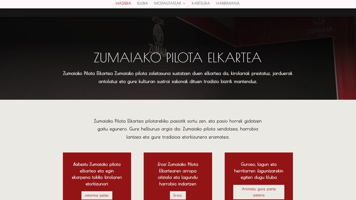 Zumaiako Pilota Elkarteak prest du webgune berria