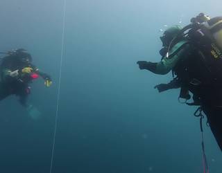 Getariako arrantza sarearen ateratzea, bideoan