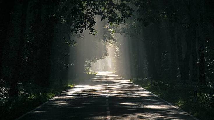 Urtarrileko zulotik, argitara