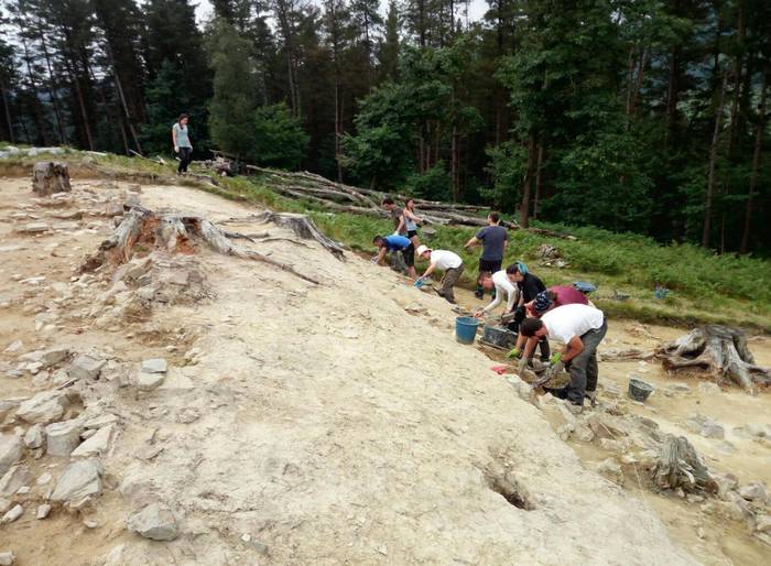 Burdin Aroa induskatzeko parada