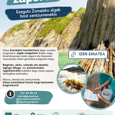 Jarduera: 'Flysch-aren zaporea: ezagutu Zumaiako algak bost zentzumenekin'