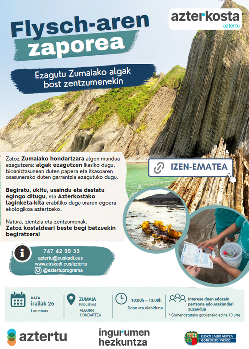 Jarduera: 'Flysch-aren zaporea: ezagutu Zumaiako algak bost zentzumenekin'