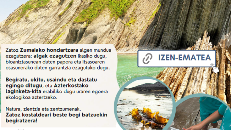 Jarduera: 'Flysch-aren zaporea: ezagutu Zumaiako algak bost zentzumenekin'