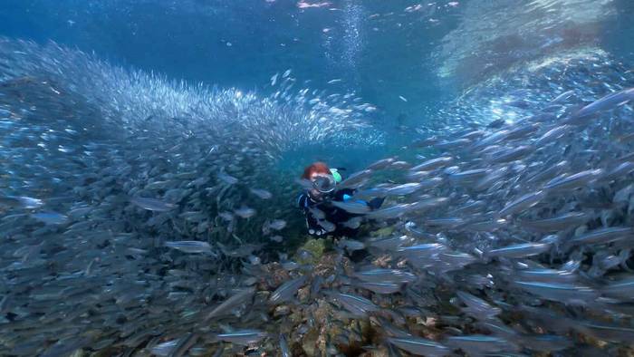 Itsaspeko Zinemaren Nazioarteko Zikloa egingo dute gaur hasi eta ostirala bitartean