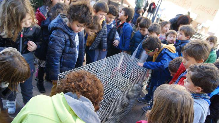 Santo Tomas festa izan zuten atzo Alai auzategian