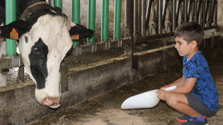 Baserri mundua, kaletik gertuago