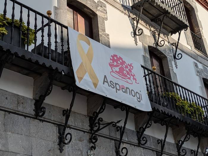 Azpeitian da Aspanogiren bandera pirata ibiltaria