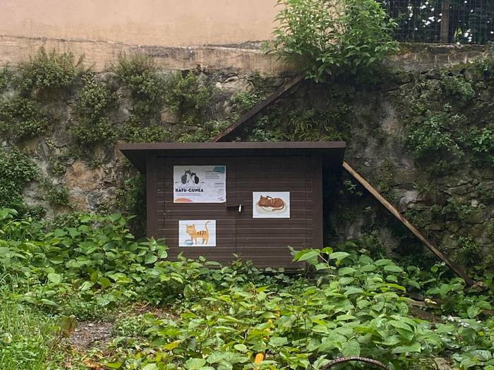 Orioko Udalak kudeatuko ditu katu koloniak aurrerantzean