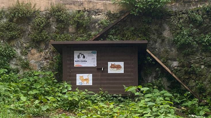Orioko Udalak kudeatuko ditu katu koloniak aurrerantzean