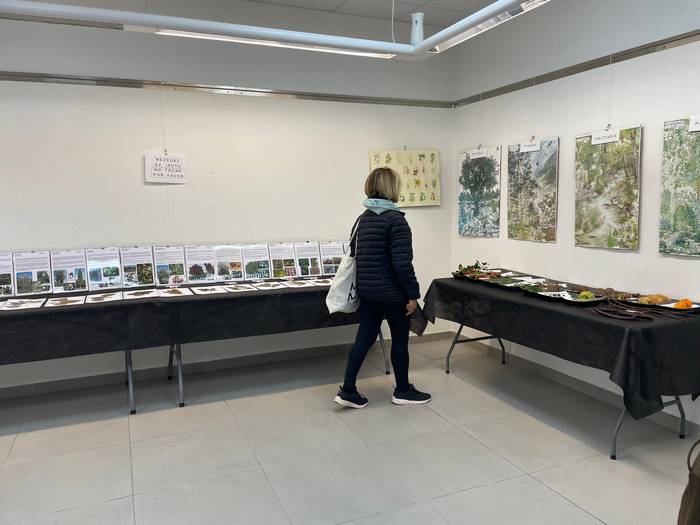 Bertako hosto eta hazien bilduma ikusgai dago Betharramen