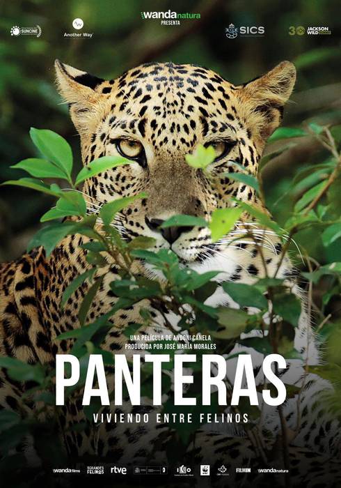 Gnat Zinema: 'Panteras'