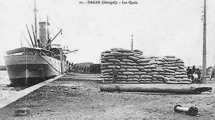 ‘Lyndiane’-ren sarraski ezezaguna