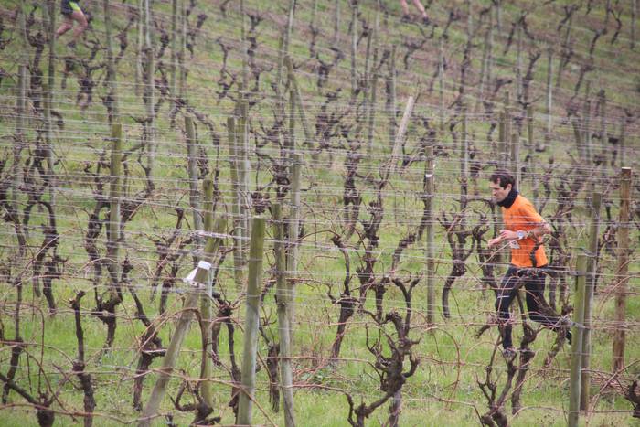 Ireki dute Mahasti Kroserako izen-ematea