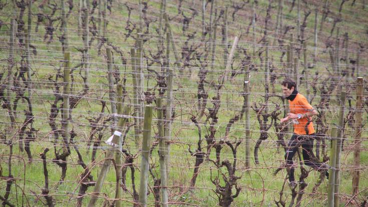 Ireki dute Mahasti Kroserako izen-ematea