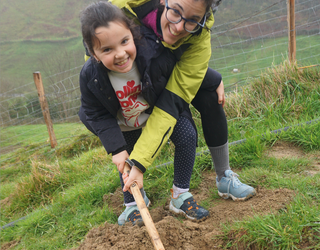 220 lagunek landatu dute haritz bana gaur Aian, desio eta guzti