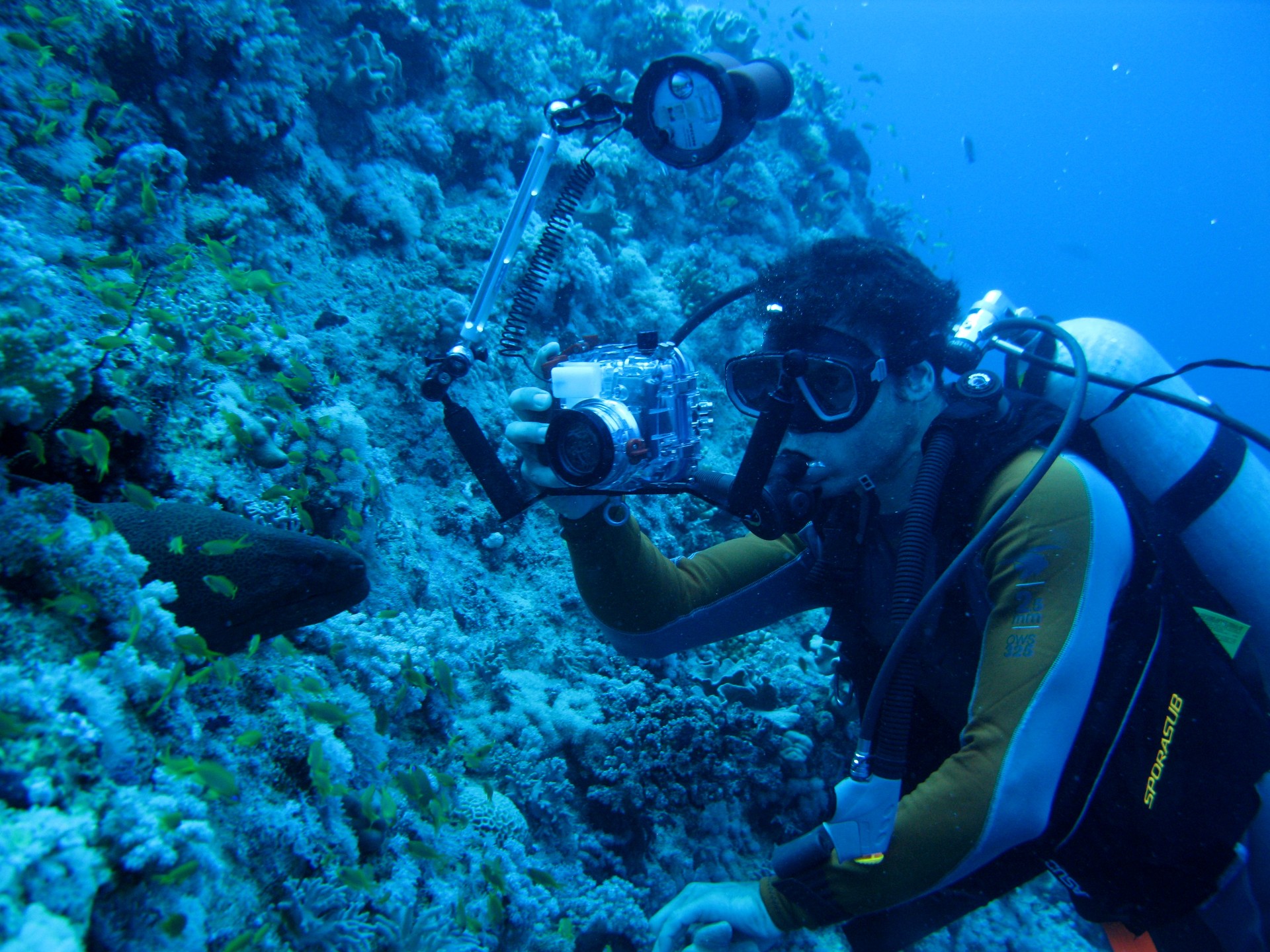 Aquariuma etxe ondoan