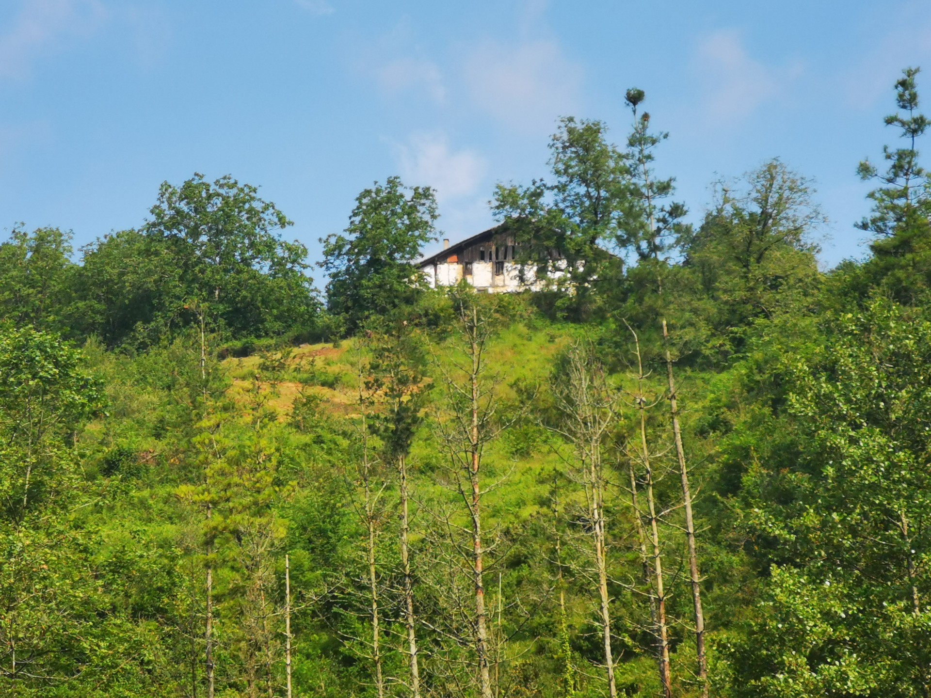 Bernabe 'Altxasu'