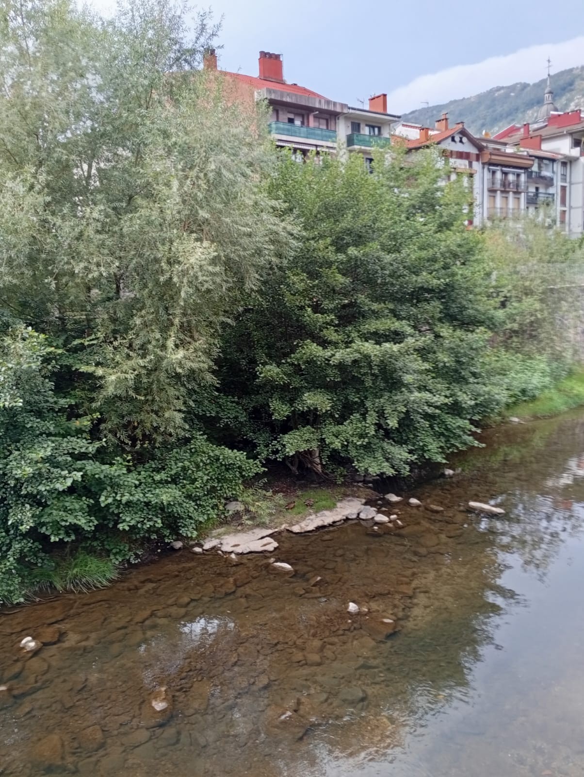 Kejie ta desditxie: "Urola ibaia, landarediaz beteta"