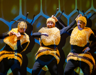 Zehaztuta daude datozen hilabeteetako antzerki eta dantza emanaldiak