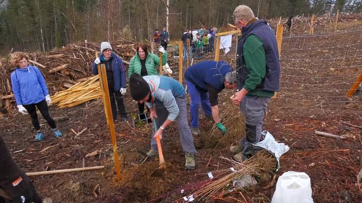 Zuhaitz landaketa eguna izan da gaur Munoaundin