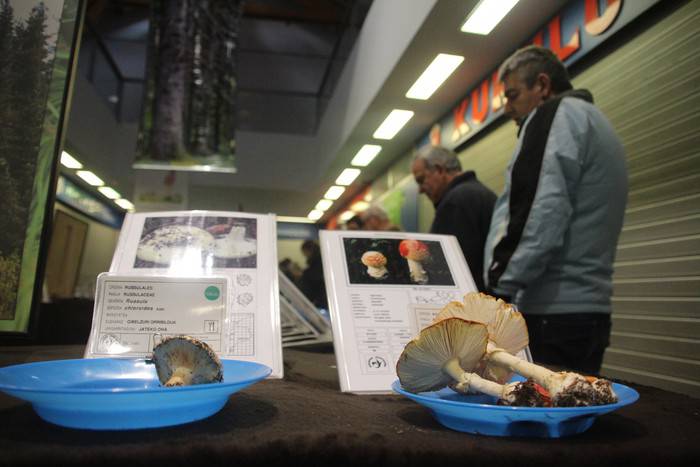 Geologiari begiratua