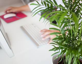 Adimen artifizialean eta sare sozialetan trebatzeko prestakuntza saioak eskainiko ditu Iraurgi Berritzenek