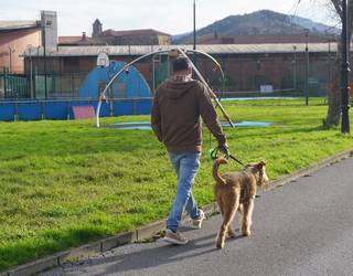 Aske baina kontrolpean