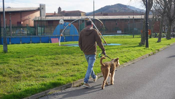 Aske baina kontrolpean