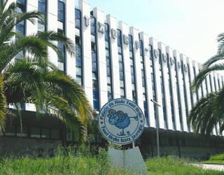 Zabalik dago gaztetxoentzako Gabonetako ekintzetan izena emateko epea