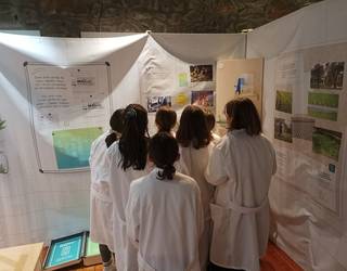 Jasangarritasuna eta klima larrialdia hobeto ezagutu dituzte Ekoetxean, jolasean