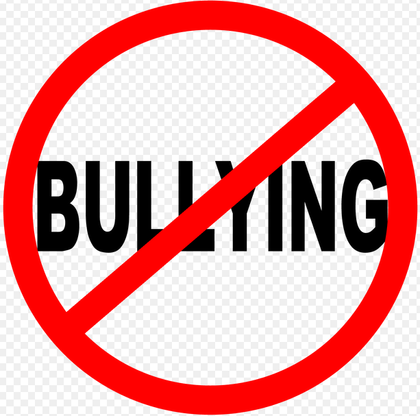 Bullyingaz hitzaldia izango da ostegunean Zestoako eskolan