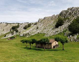 Mendi ibilaldia eta ikus-entzunezkoen saioa, Anaitasunaren hurrengo hitzorduak