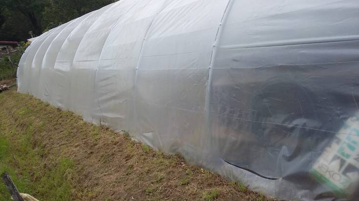 Astiko baratze solidarioa kaltetu dute